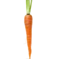 Zanahoria